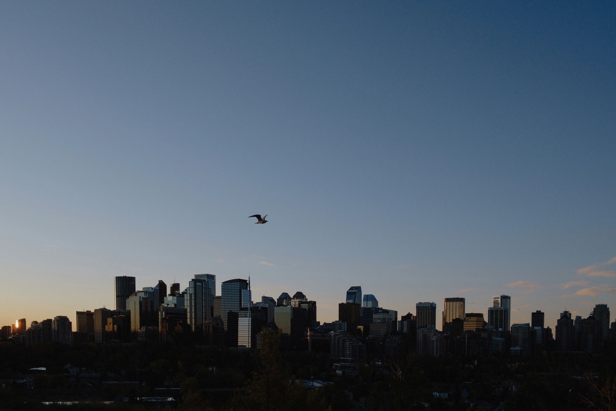 Calgary skyline at sunrise, representing regional commercial roofing coverage